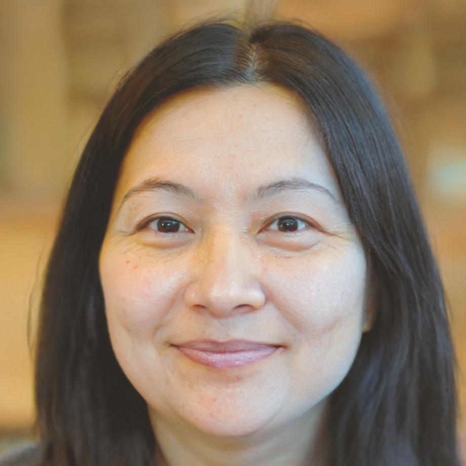 Partnerin bei strategischer Besprechung